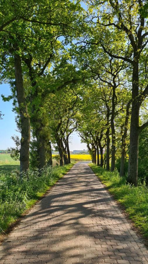 Ferienwohnung Baltrum Auf Dem Elisenhof Hagermarsch Eksteriør bilde
